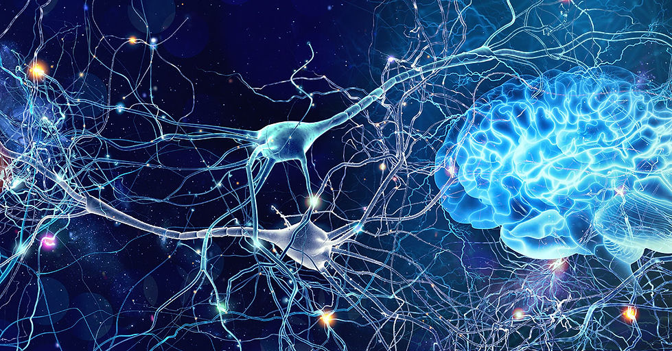 Understanding the Gut–Brain Axis